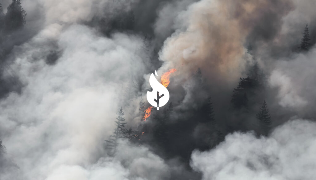 Satellites on Fire - Brand Identity