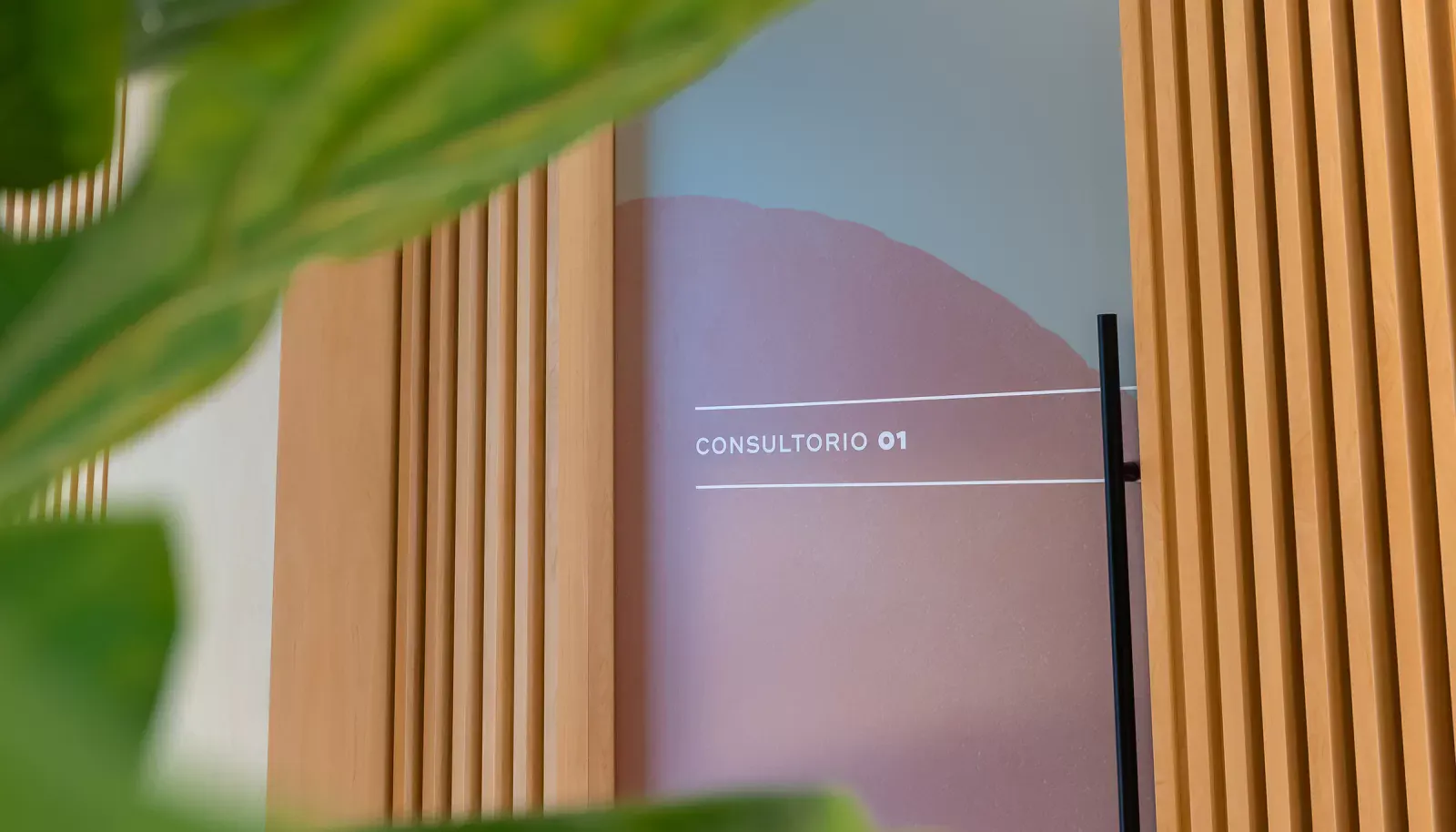 Dental Co. - Brand Identity