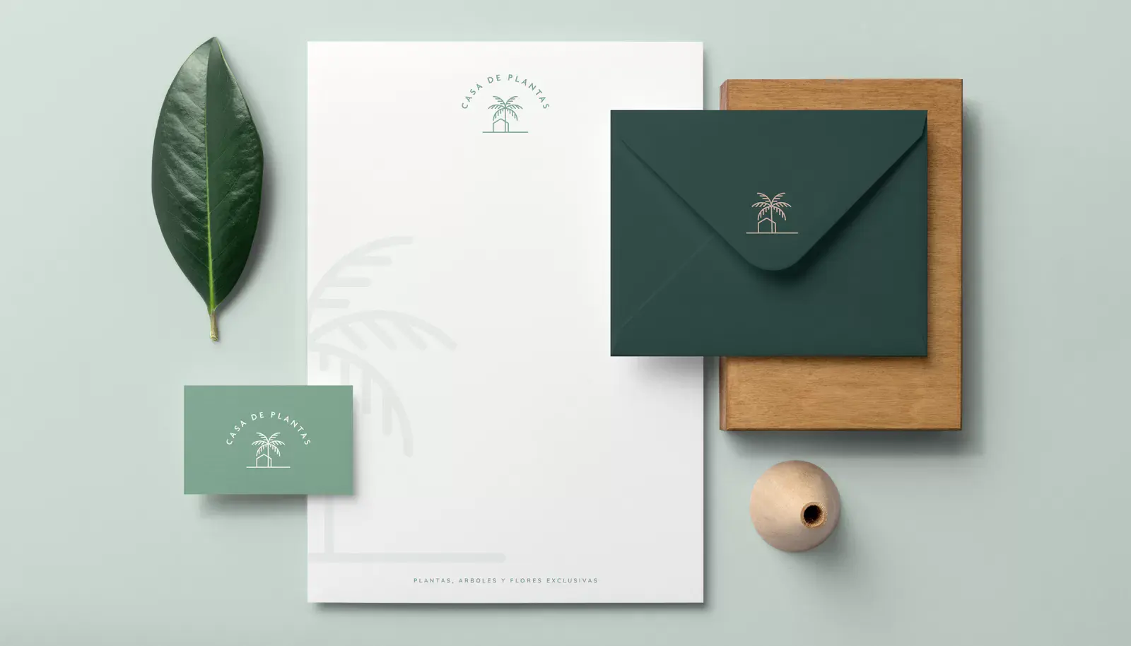 Casa de Plantas - Brand Identity