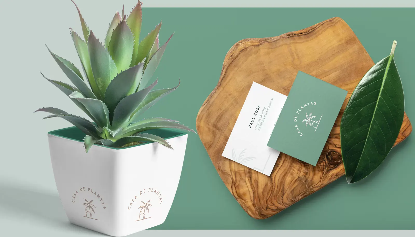 Casa de Plantas - Brand Identity