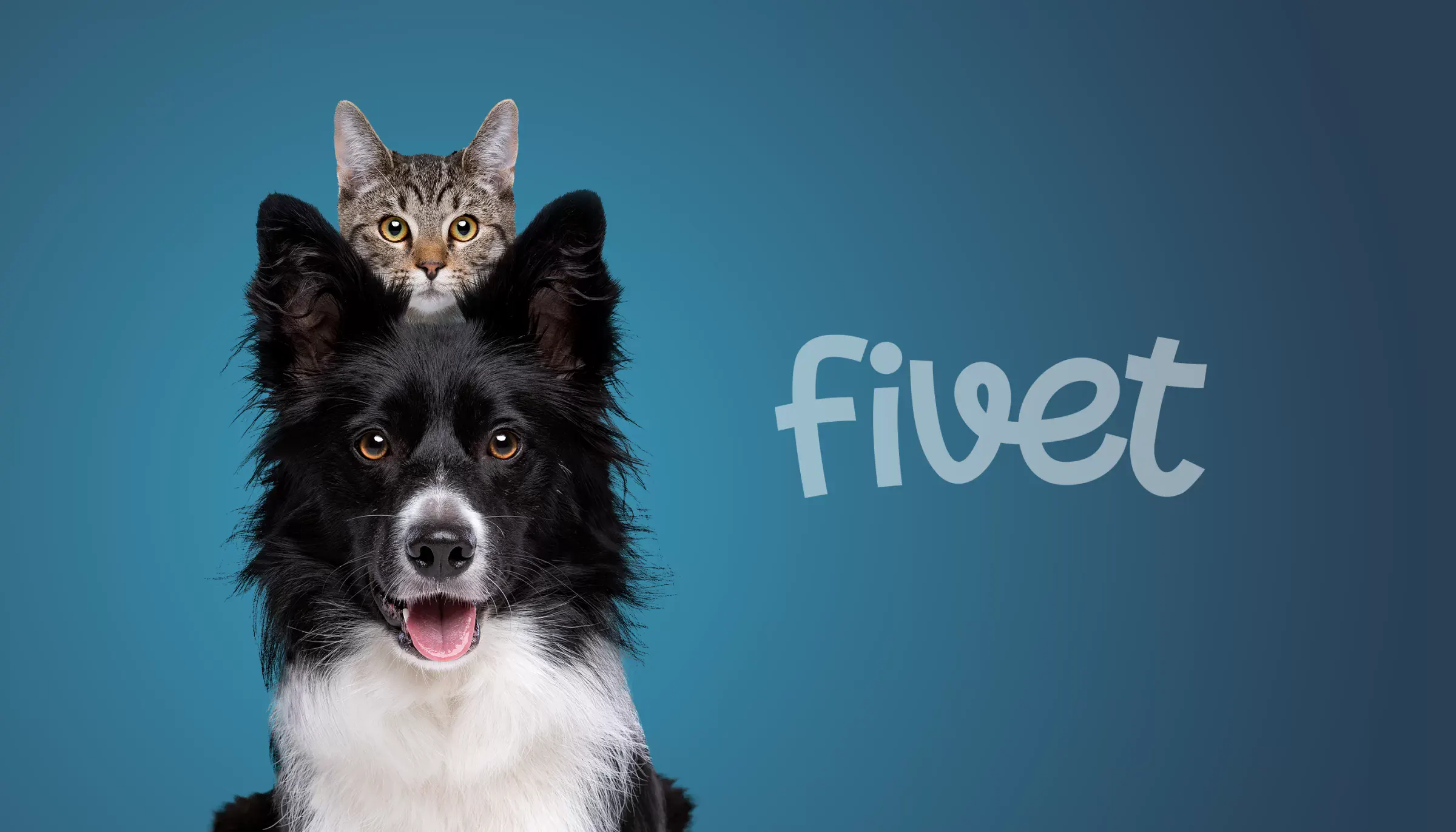Fivet