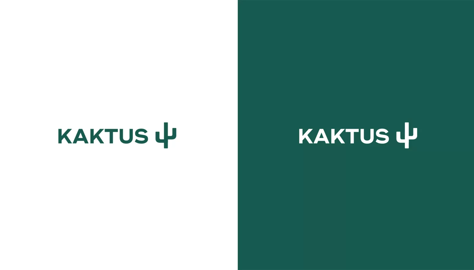 Kaktus