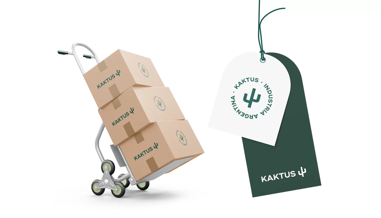 Kaktus