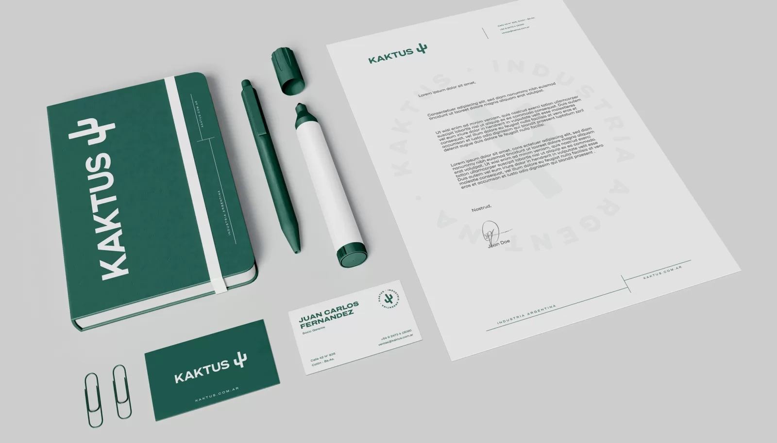 Kaktus