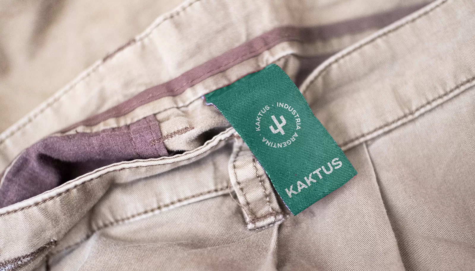 Kaktus